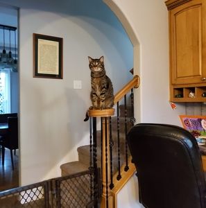 Meet your Posher, Dane